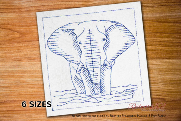 African Bush Elephant Standing in Water Review
