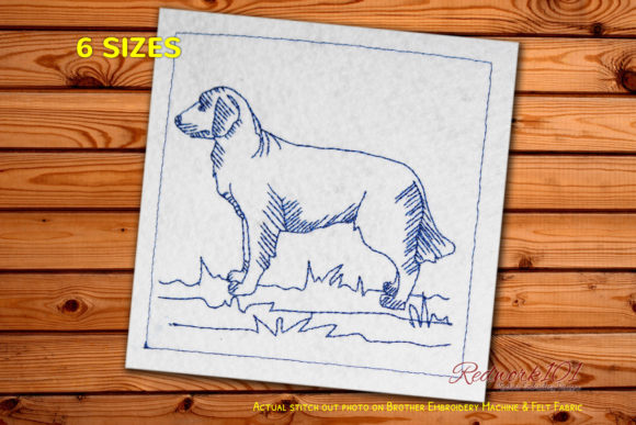 Golden Retriever Dog: A Pro Review for Business Merch